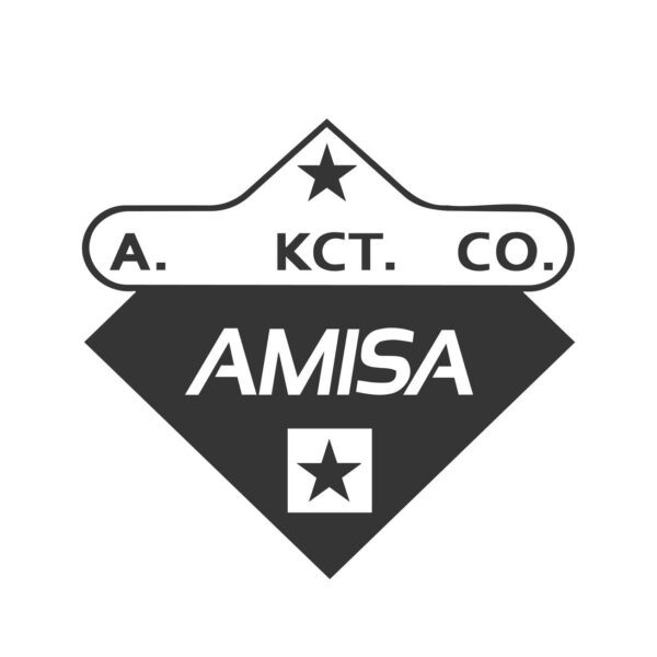 Amisa